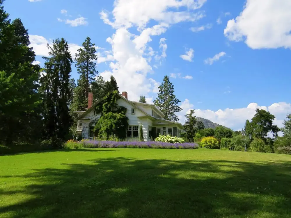 Green lawn in front of a house